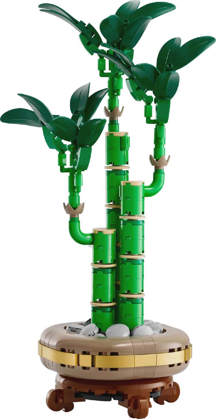 Grow Your Creativity with LEGO® Botanicals Lucky Bamboo (10344)